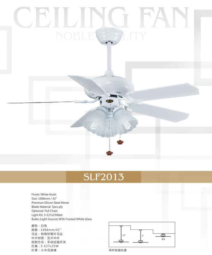 slf2013big.jpg